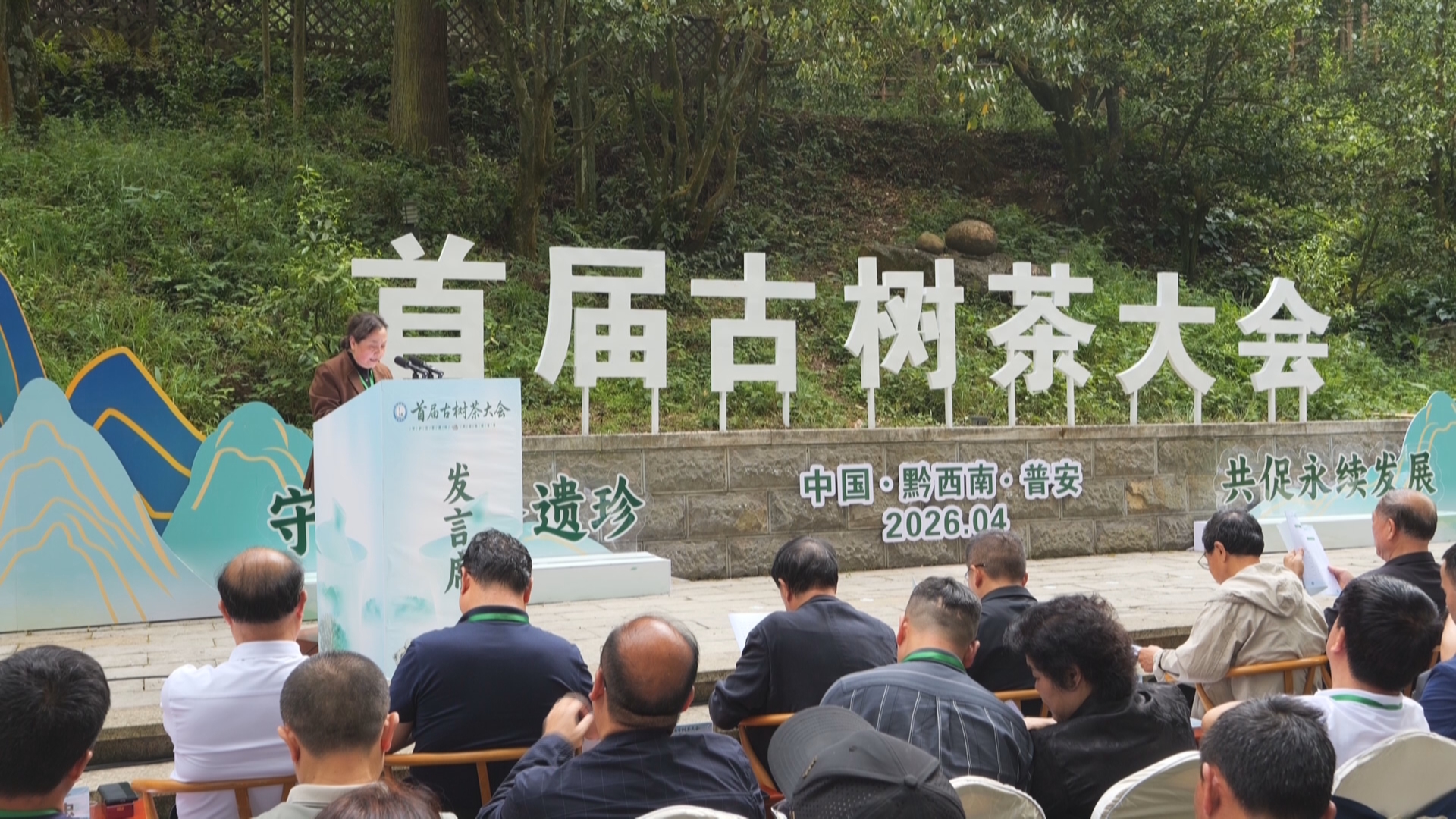 贵州新闻联播丨守护古茶遗珍 赋能产业发展 首届古树茶大会在黔西南州普安县举行