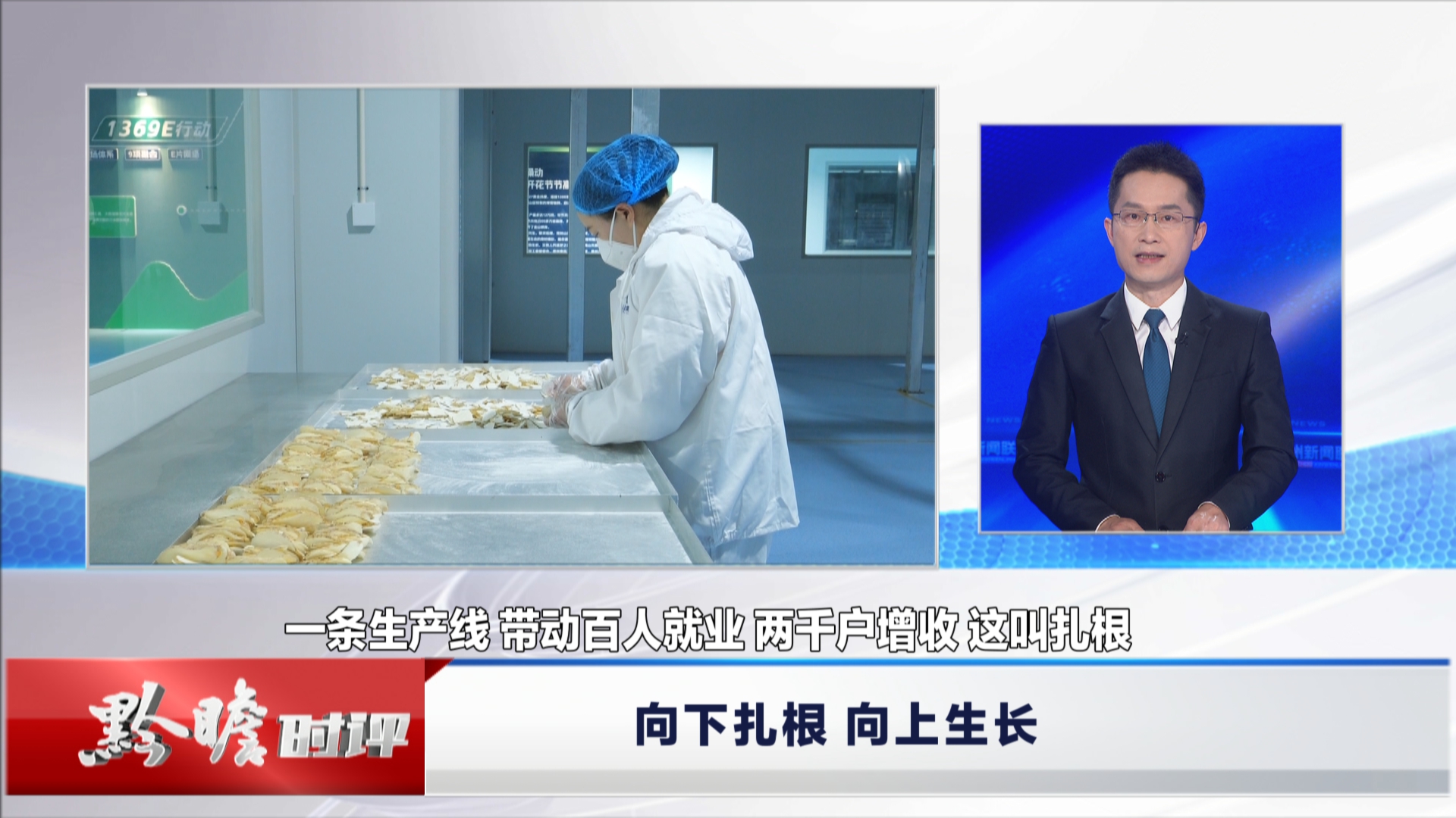 贵州新闻联播丨黔瞻时评：向下扎根 向上生长