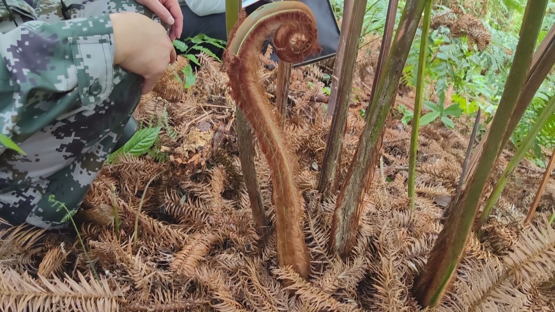 贵州新闻联播丨【美丽中国贵州行】构建智慧生态保护体系 守护生物多样性根基