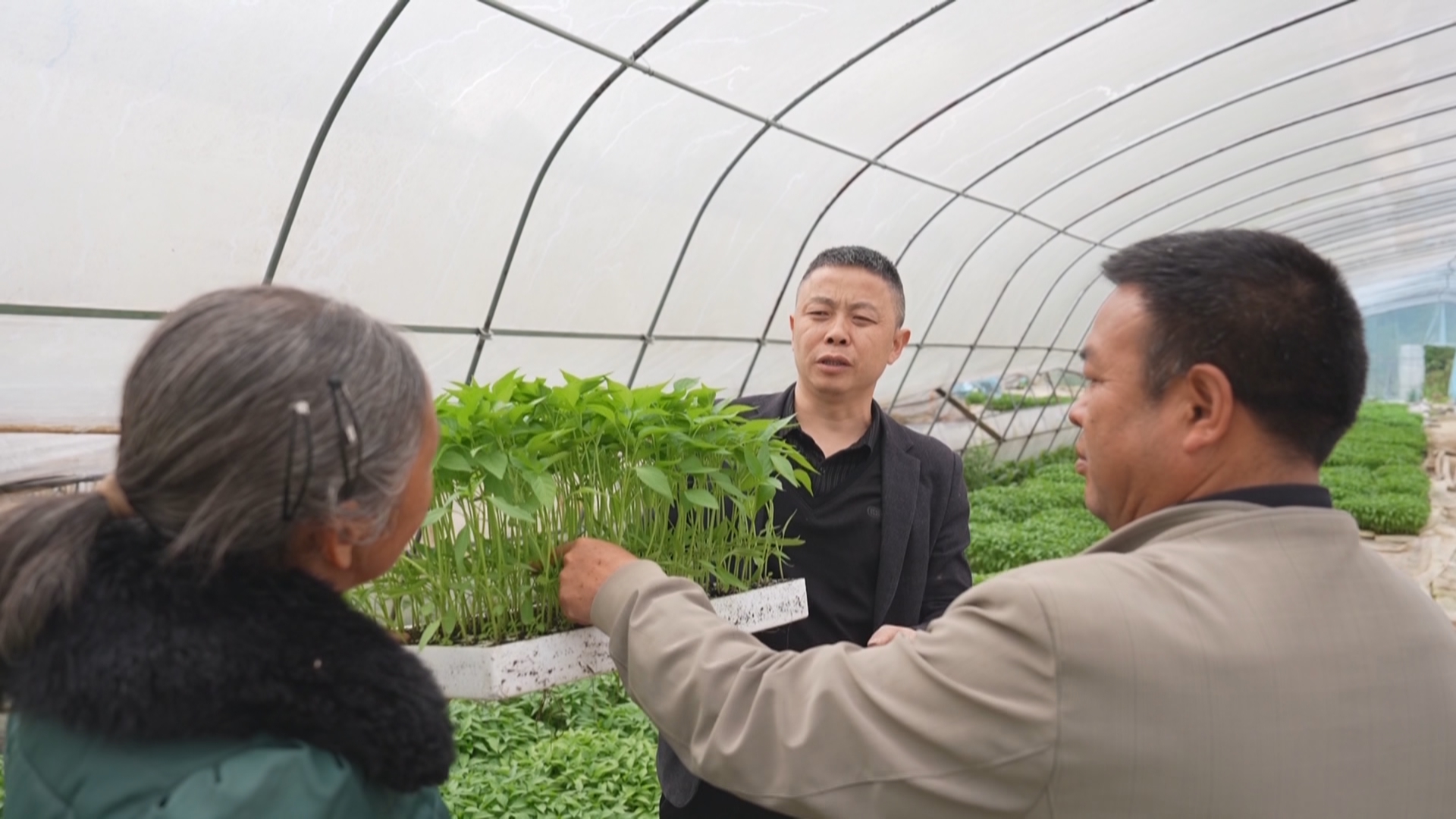 贵州新闻联播丨【树立和践行正确政绩观】盘活闲置资产 赋能乡村振兴 把为民造福作为最大政绩
