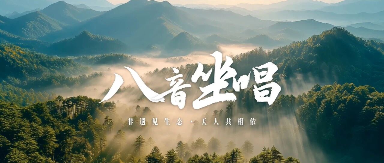 从民族文化里，看见贵州生态 | 八音传古韵 生态润黔境