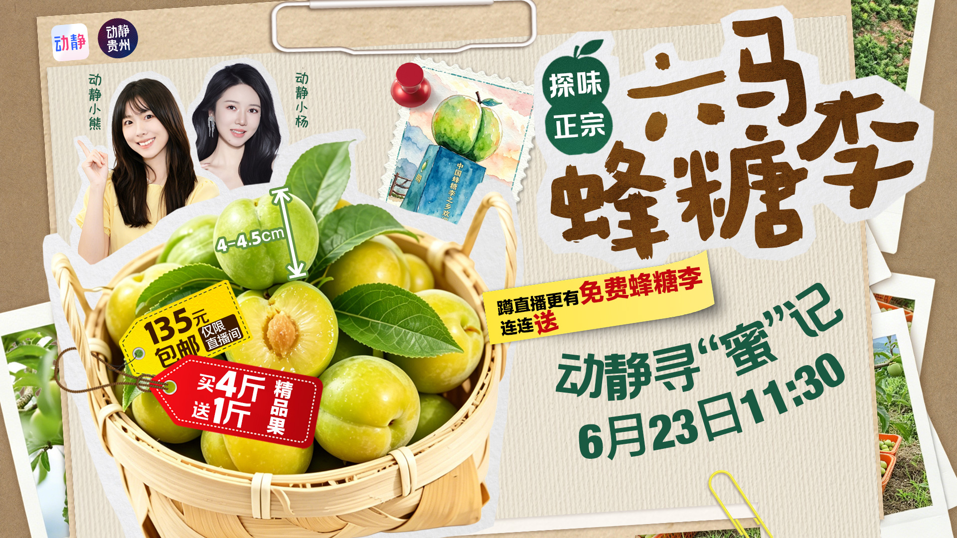 动静宠粉！正宗六马蜂糖李买4斤送1斤，6月23日看直播还有10件免费送